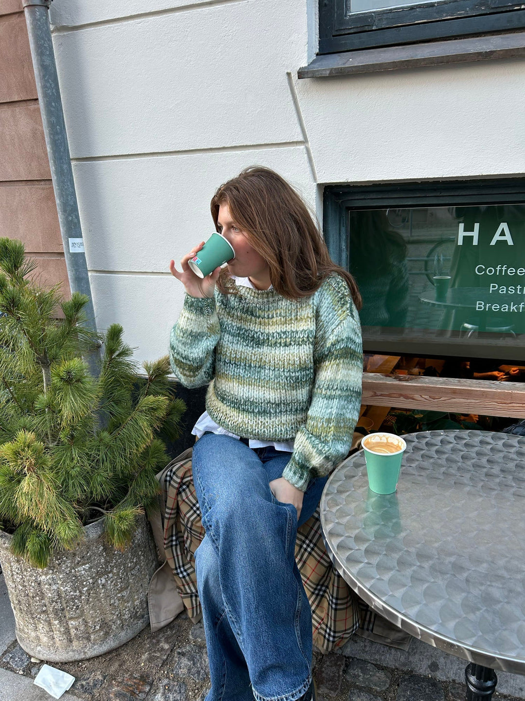 Arden | Women’s knit sweater with striped design